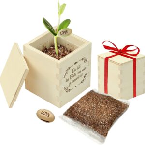 Holzbox mit Zauberbohne Geschenk
